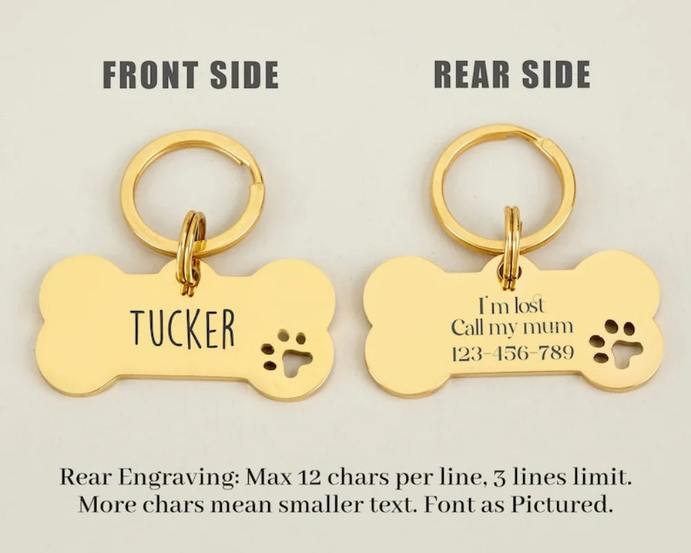 Personalized Stainless Steel Bone-Shaped Dog ID Tag