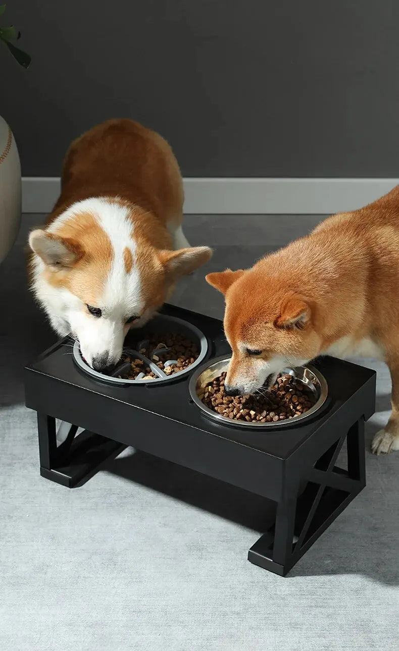 Soporte Elevado para Cuencos de Perro con Altura Ajustable