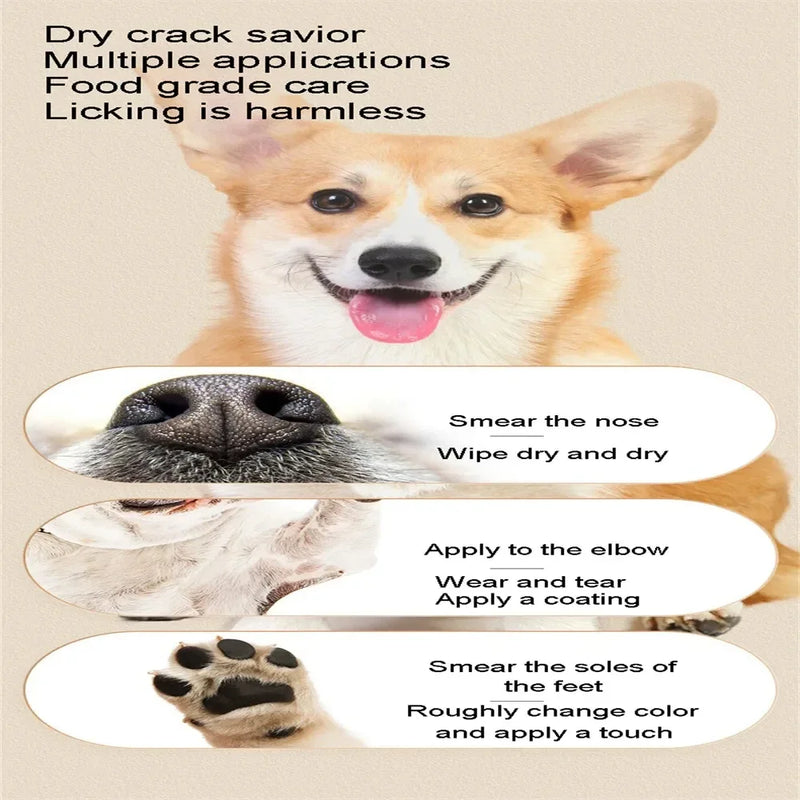 Paw Care Balm for Dogs: Moisturizing Foot Pad Protection