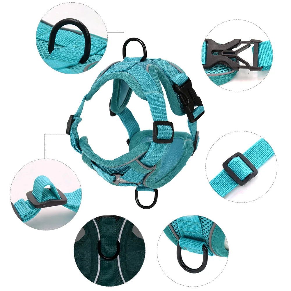 A set of reflective adjustable dog harness and leash for small to medium pets in teal and black.