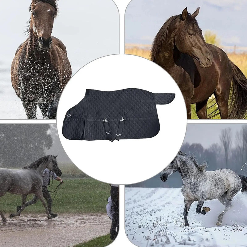 Manta Acolchada Ajustable para Transporte de Caballos