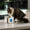 Fontaine à eau pour animaux en acier inoxydable, capacité de 3,2 L