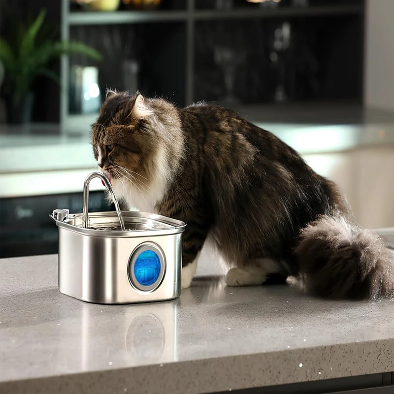 Fontaine à eau pour animaux en acier inoxydable, capacité de 3,2 L