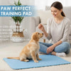 Eine Frau sitzt auf einem hellen Teppich mit einem goldenen Hund auf einer blauen Trainingsmatte.
