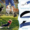 Laisse en Nylon Extensible pour Entraînement en Plein Air