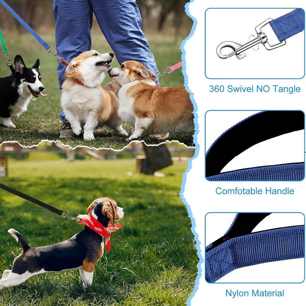 A blue nylon dog leash with a swivel hook and a comfortable handle is shown alongside dogs in an outdoor training setting.