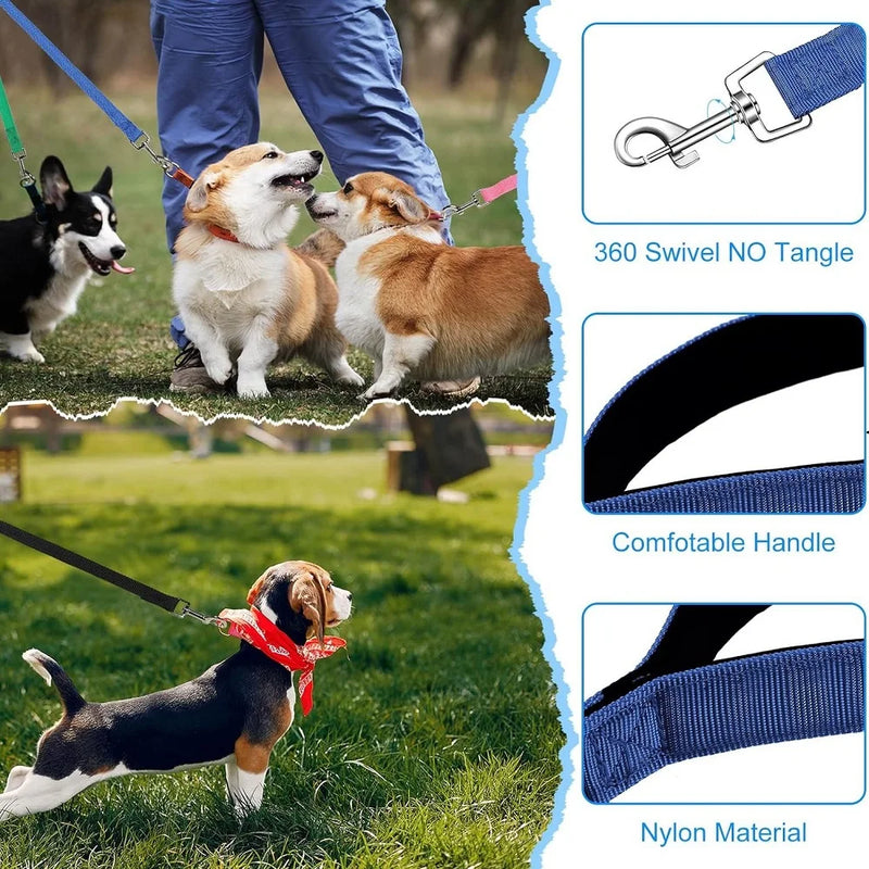 Laisse en Nylon Extensible pour Entraînement en Plein Air