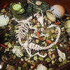Articulated Dragon Skeleton Aquarium Ornament