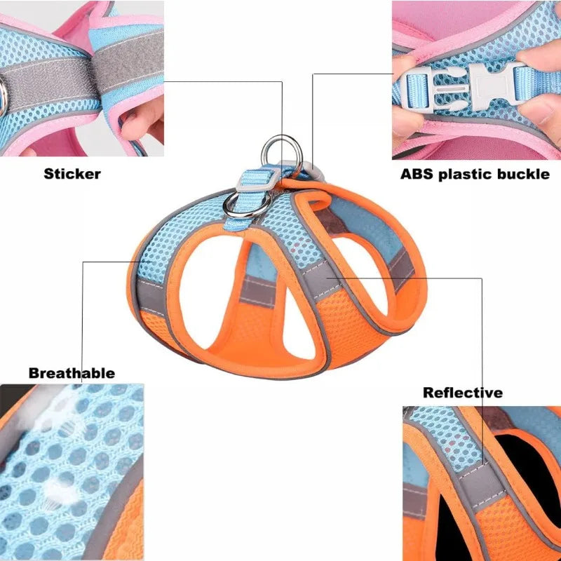Orange and blue reflective no-pull dog harness with an ABS plastic buckle and sticker.