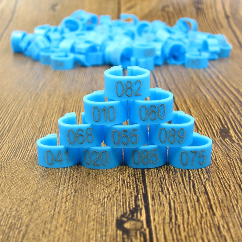 A collection of small, light blue plastic bird identification foot rings arranged in a pyramid on a wooden surface.