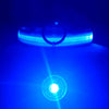USB Charging Glowing Dog Collar with Pendant - Night Safety