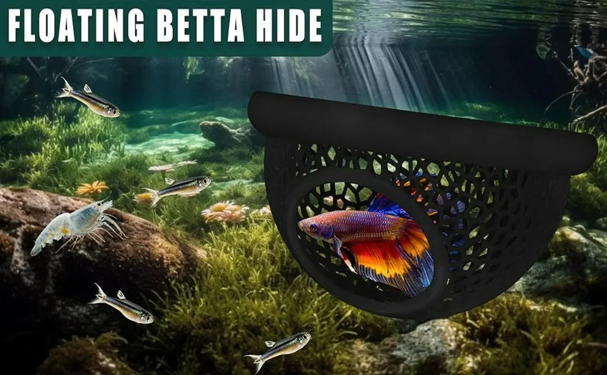 3-in-1 Floating Cave, Hammock, and Feeding Ring for Betta Fish and Shrimp