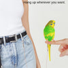 Elastic Parrot Training Leash with Metal Buckle
