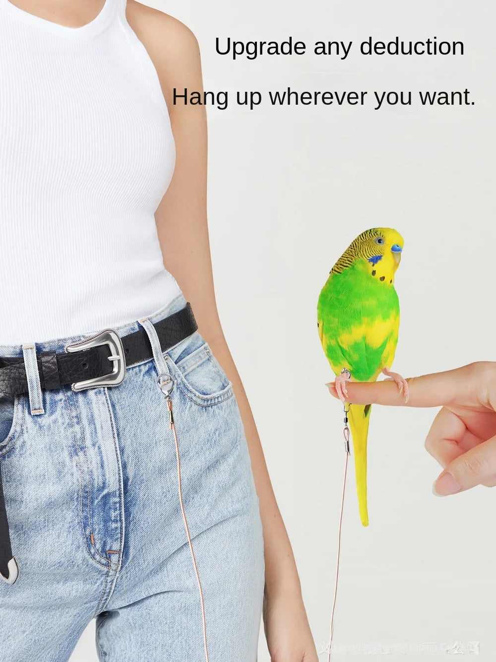 Elastic Parrot Training Leash with Metal Buckle
