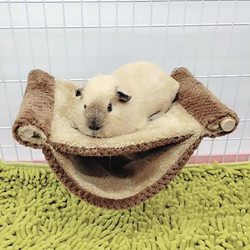 Ein flauschiges, helles Haustier ruht in einem braunen Plüsch-Hängematte auf einer grünen, strukturierten Oberfläche.