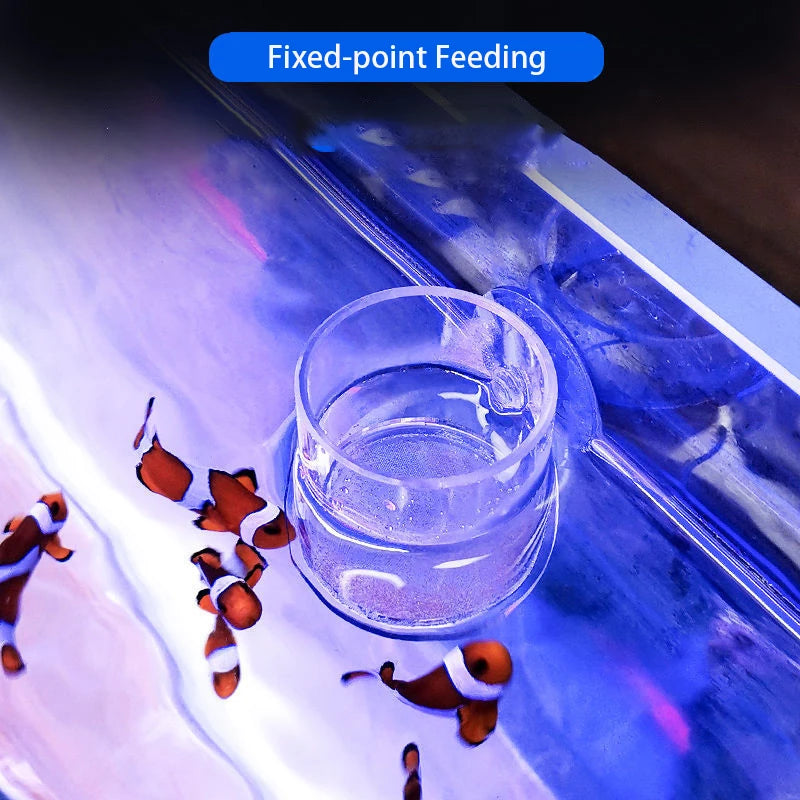 Clear Acrylic Aquarium Feeding Cup Ring Anti-drift Betta Fish Feeder