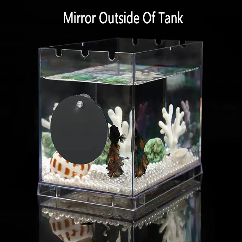 Espejo de Acrílico Flotante para Peces Betta