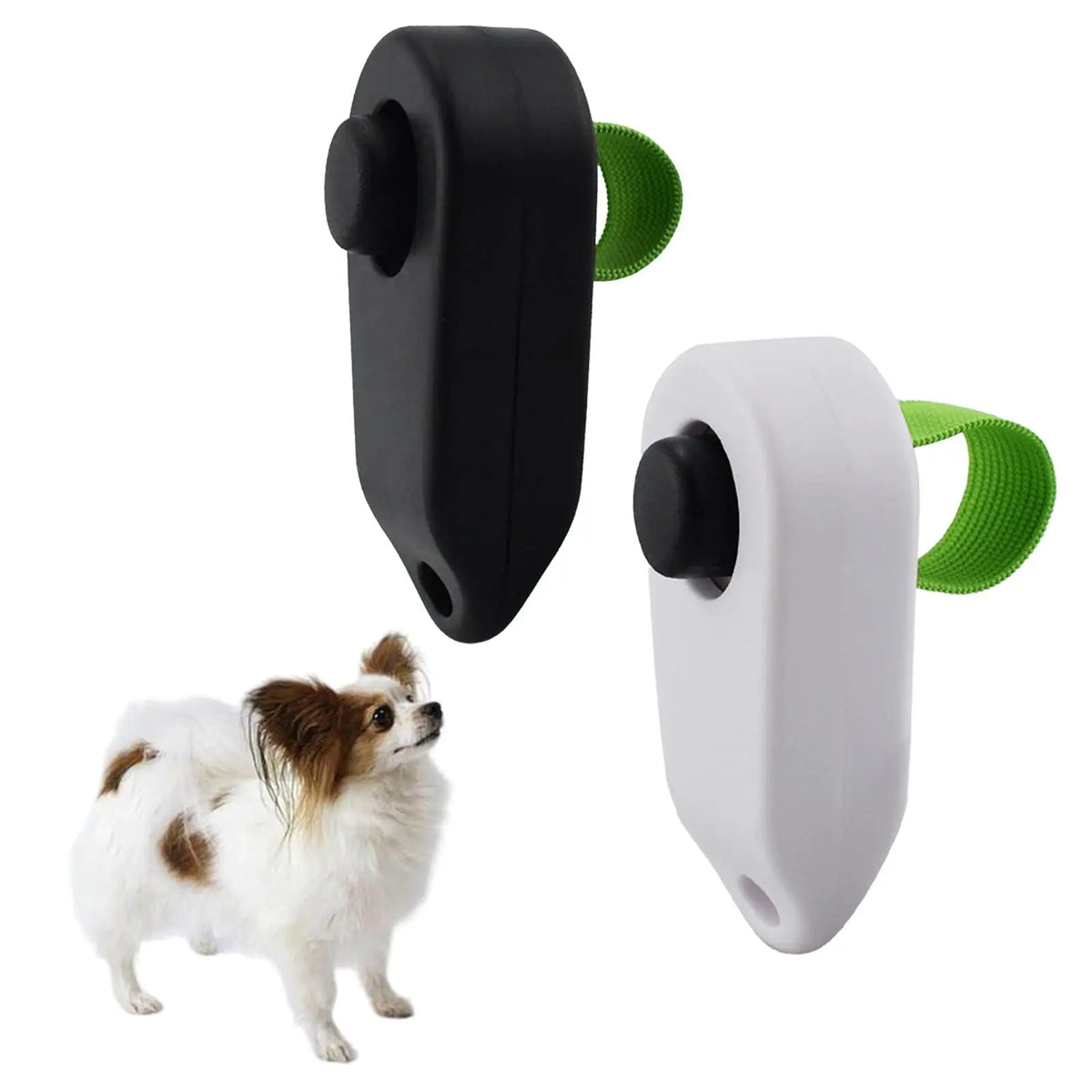 Un chien poilu en noir et blanc à côté d'un clicker portable pour dressage.