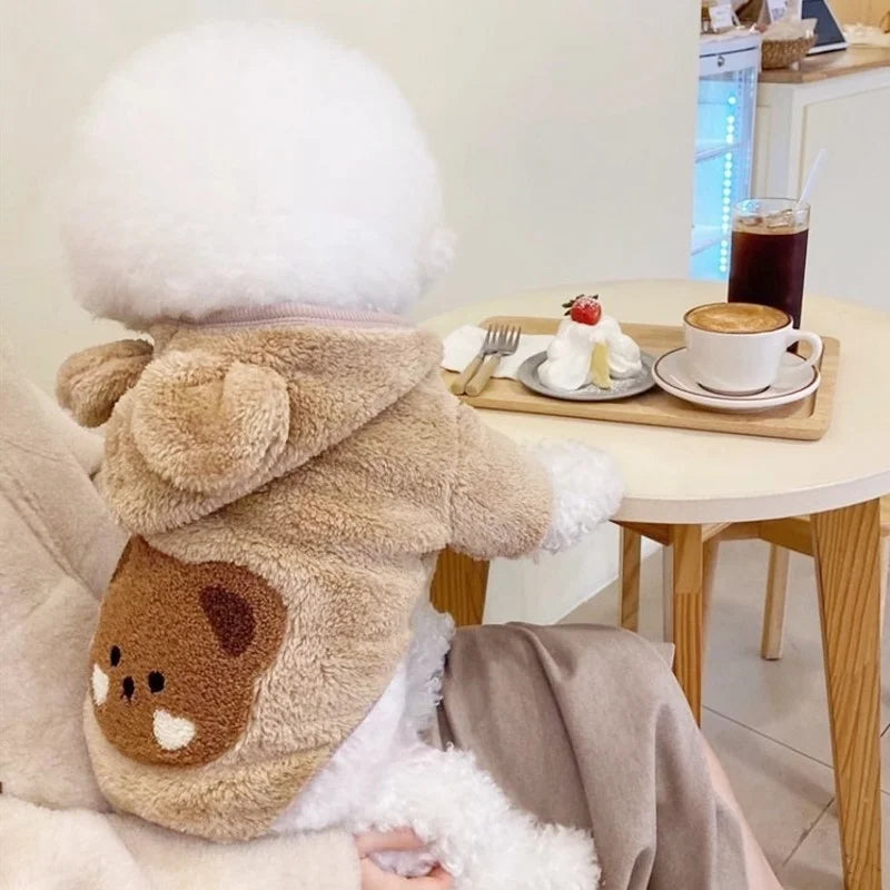 هوديز كلاب شتوية من الحجم الصغير إلى المتوسط