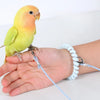 Bird Outdoor Training Harness Rope for Parrots