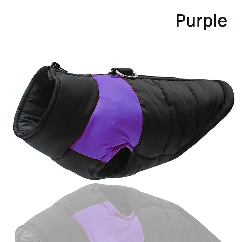 Purple quilted waterproof dog jacket shown in a black and purple color combination.