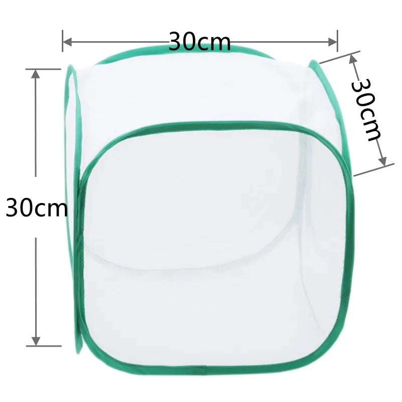 A translucent green mesh insect breeding cage with dimensions of 30cm by 30cm.