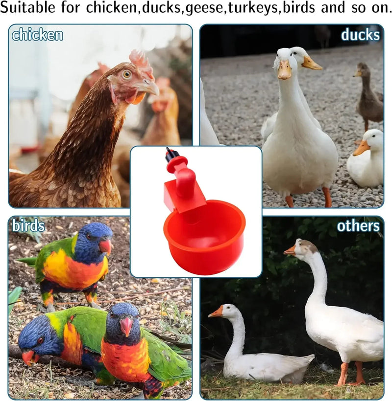 Automatische Tränkenasen für Geflügel