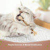 Cat Dental Care Chew Stick with Silver Vine
