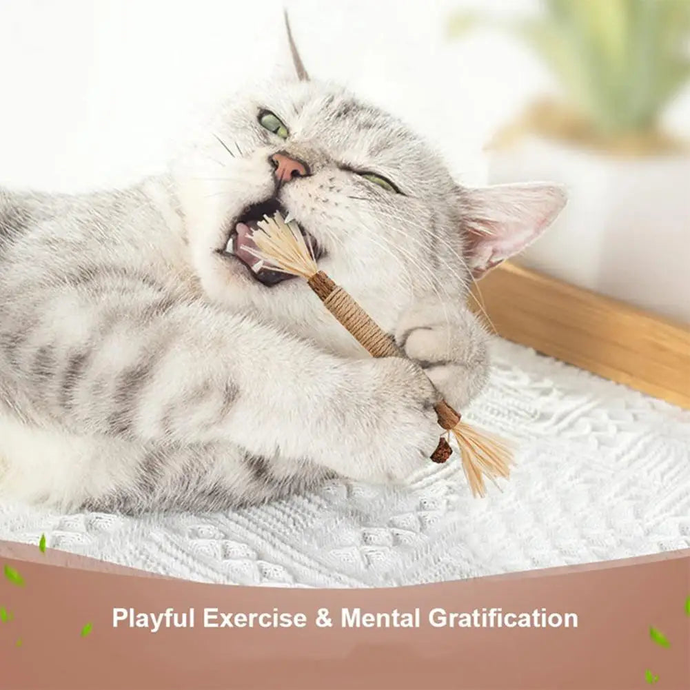 Cat Dental Care Chew Stick with Silver Vine
