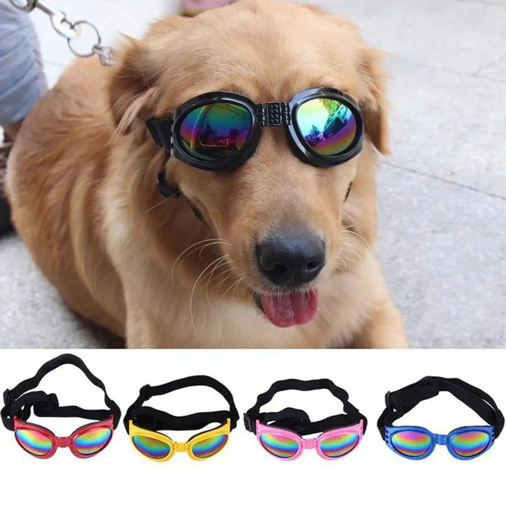 A collection of five colorful pet sunglasses for dogs, including pink, yellow, and blue frames.
