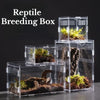 A stack of clear acrylic reptile breeding boxes containing various reptiles and plants.