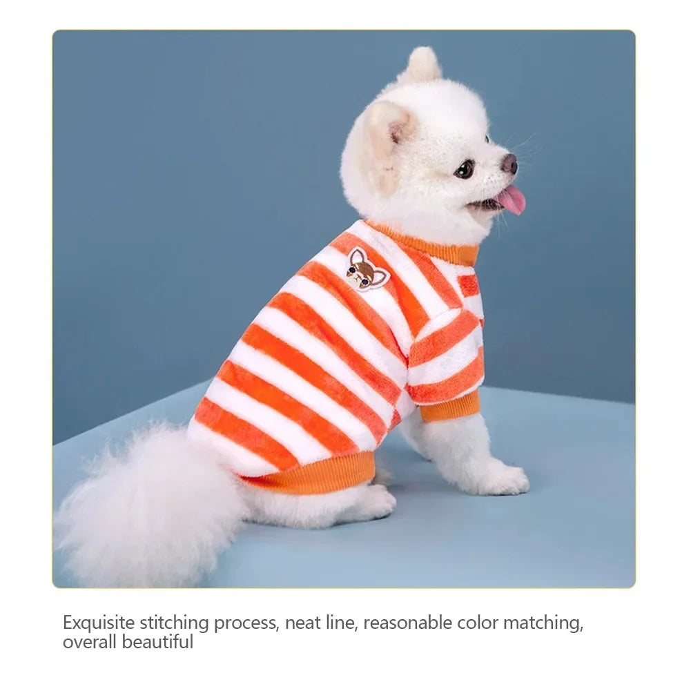 A white dog wearing an orange and white striped cotton flannel sweater with a small embroidered face.