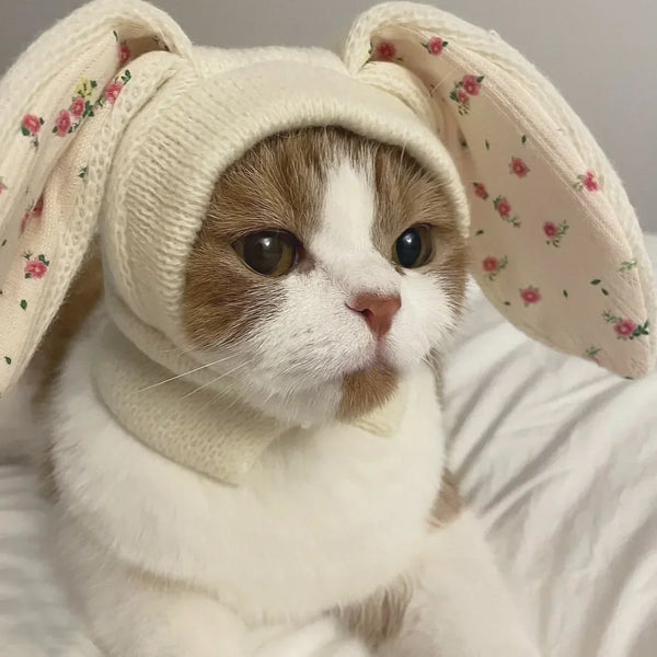 A domestic cat wearing a cozy knitted white pet hat with pink floral rabbit ears.