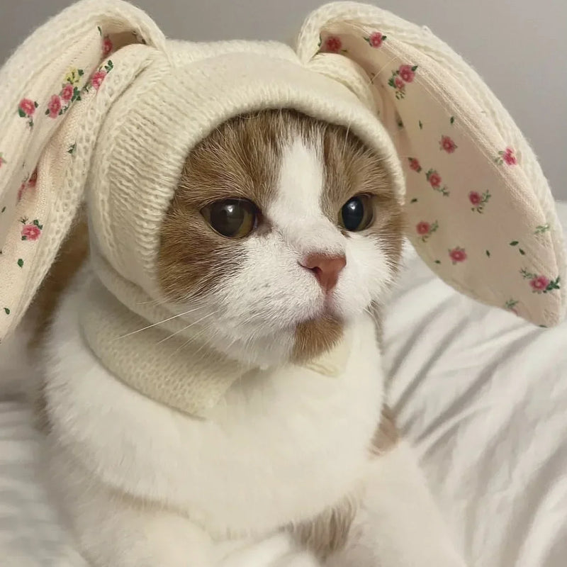 Cozy Knitted Rabbit Ears Pet Hat