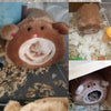 Hamac Lit en Forme d'Ours pour Animaux de Compagnie