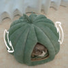 Lit pour chat en forme de citrouille d'Halloween