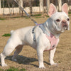 Atmungsaktives reflektierendes Hundegeschirr & Leinen-Set