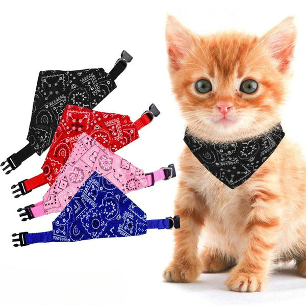 Kleine orange Katze mit schwarz gemustertem Dreiecksschal für Hunde und Katzen