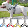A white dog wearing a reflective mesh harness for walking, shown in various colors.