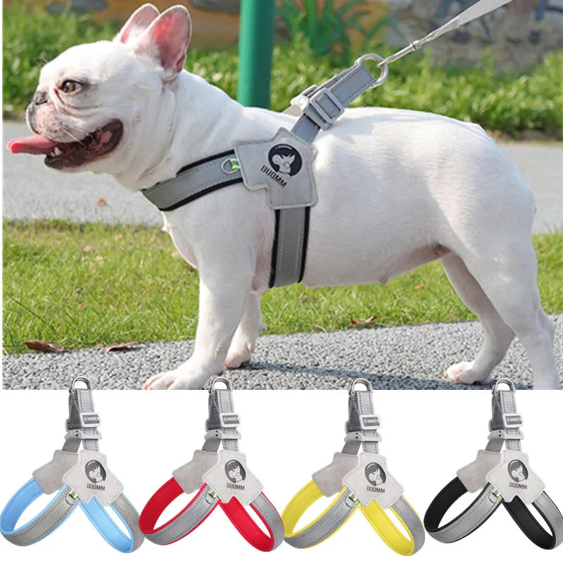 A white dog wearing a reflective mesh harness for walking, shown in various colors.