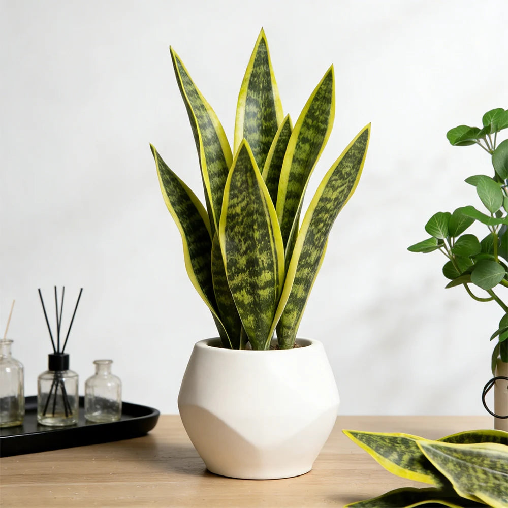 Artificial Snake Plant Decorative Faux Sansevieria