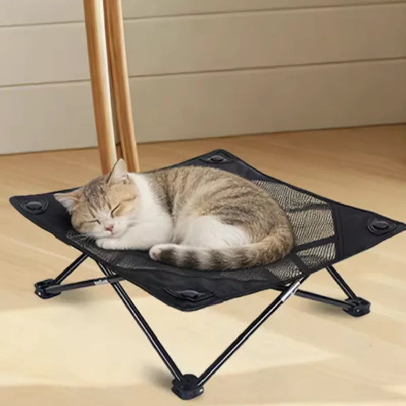 A tabby cat is relaxing on a black foldable elevated pet cot with breathable mesh.