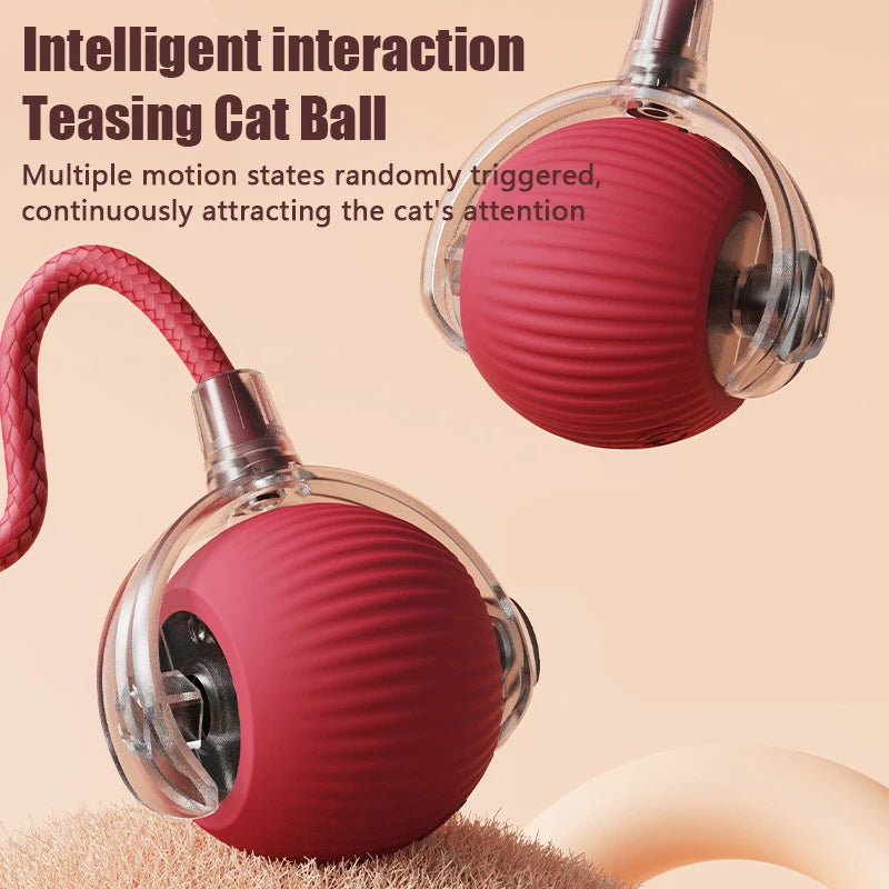 Nahaufnahme eines roten intelligenten Spielzeugs mit Katzball, das einen rosa falschen Schwanz zeigt.