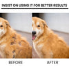 Soothing Pet Skin Care Spray for Itch Relief & Fur Regrowth