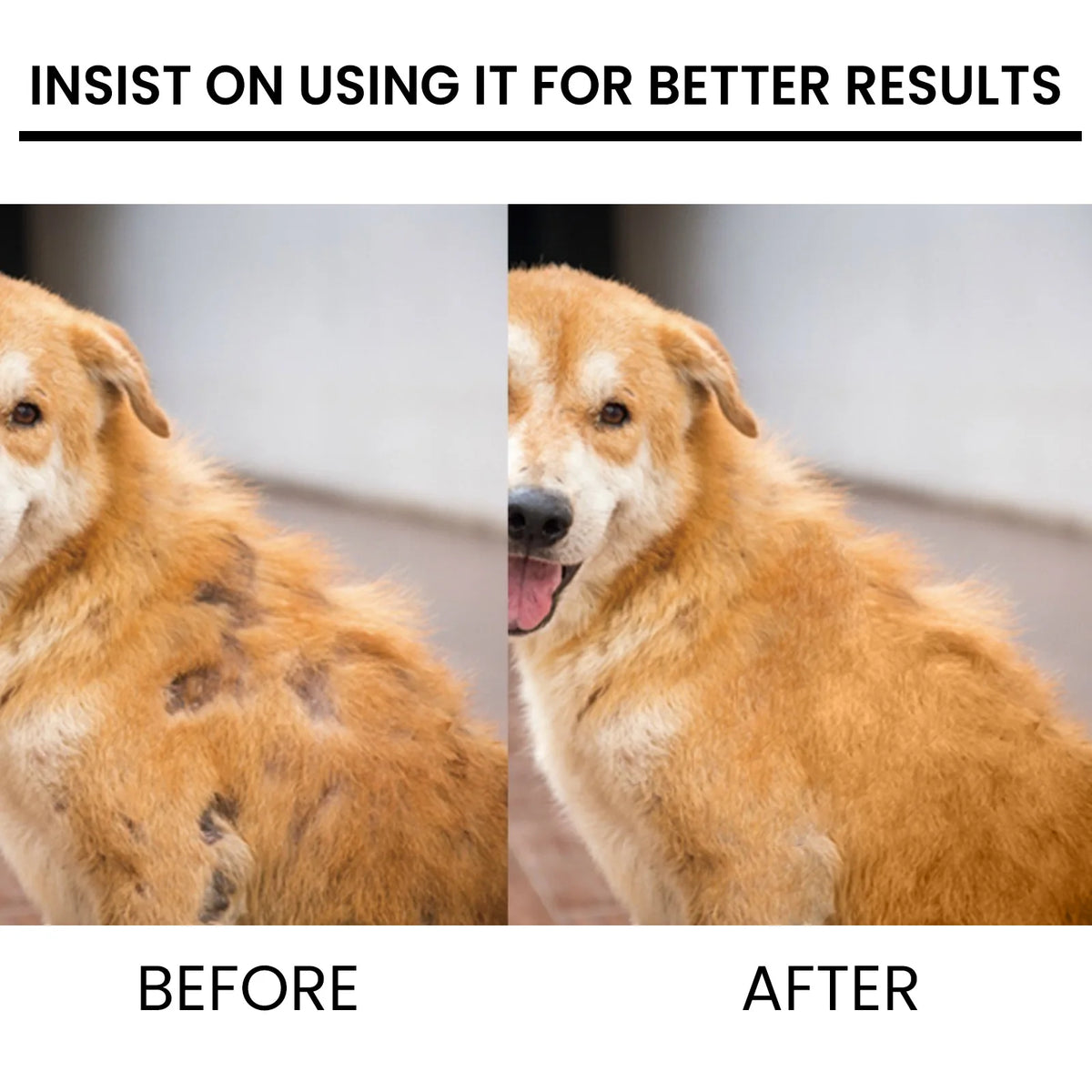 Soothing Pet Skin Care Spray for Itch Relief & Fur Regrowth
