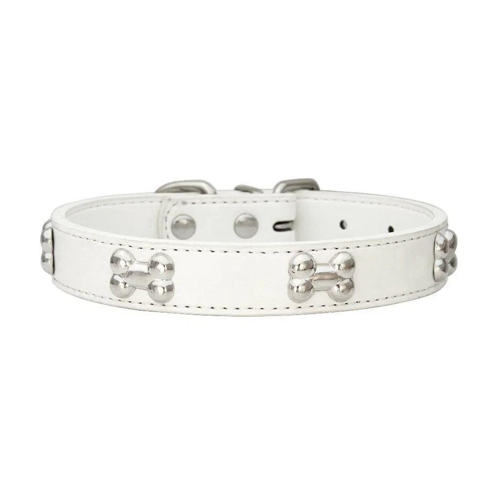 White leather dog collar with bone rivets and padded neck strap
