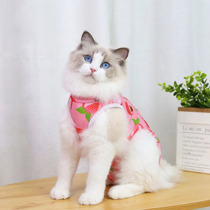 Cat Recovery Vest – Soft Anti-Licking Protector for Post-Surgery Care