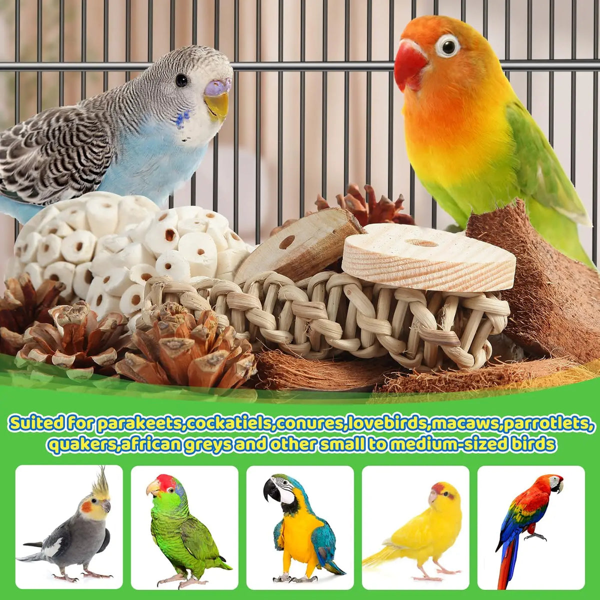 Natural Foraging Box Bird Toy with Foot Toys for Parakeets, Cockatiels, Conures, and Lovebirds