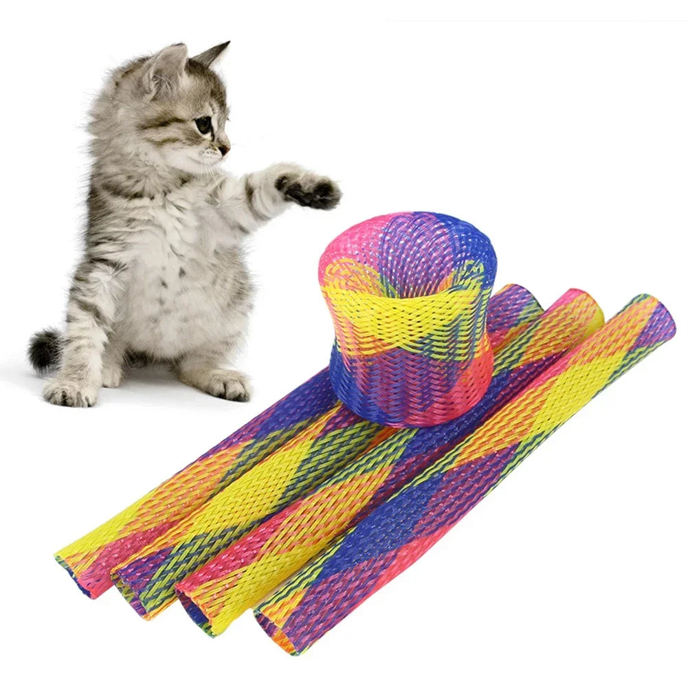 A fluffy gray kitten sits next to a colorful, multi-colored spiral cat springs toy set.