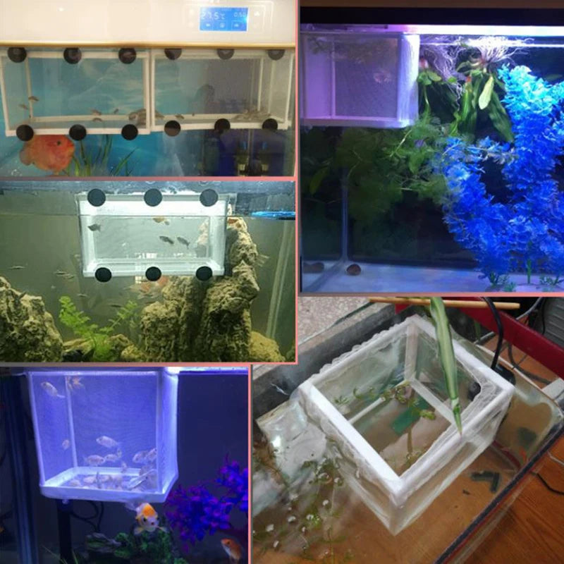 Aquarium Fish Breeding Isolation Box with Suction Cups